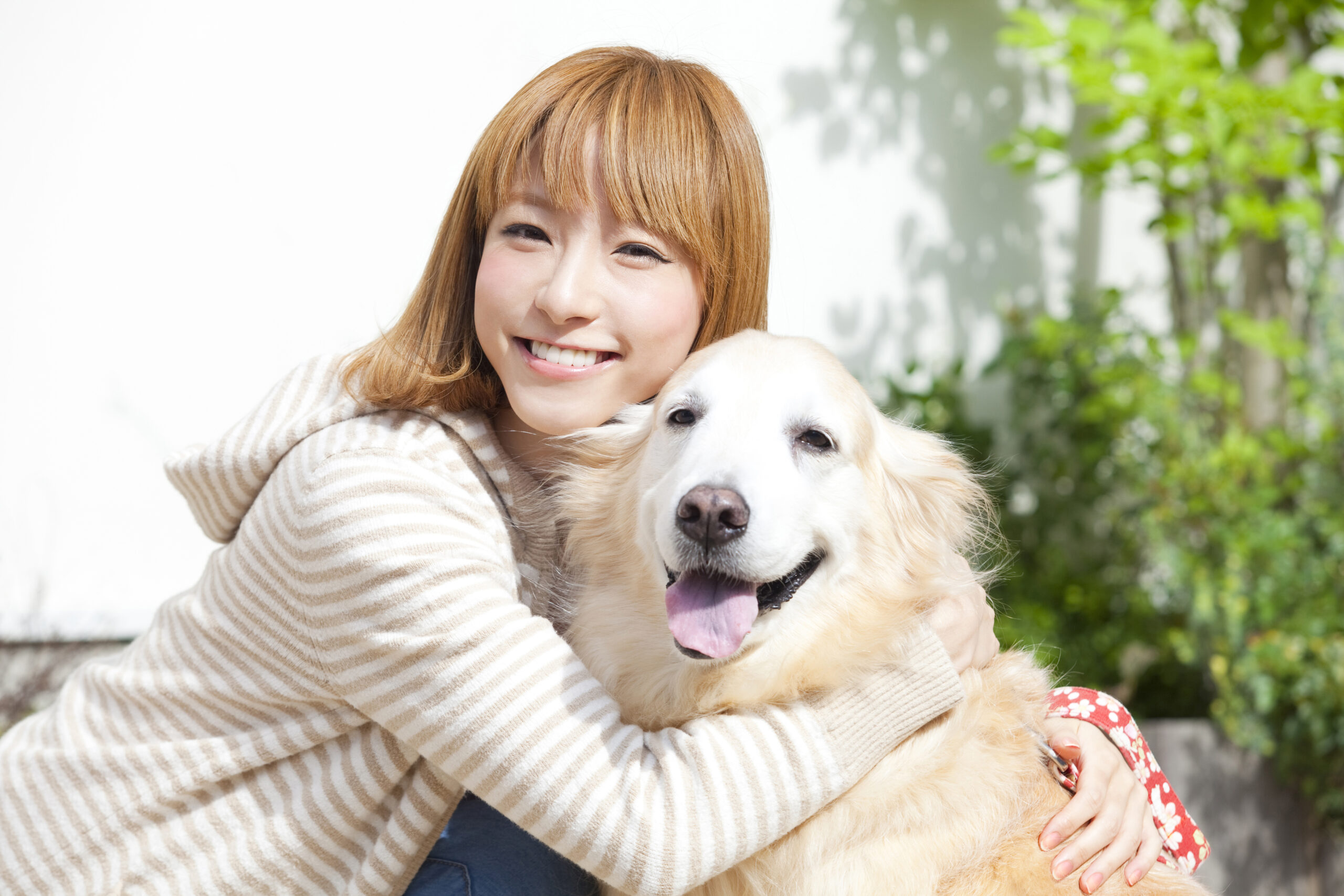 ワンちゃんの健康と食事の関係性