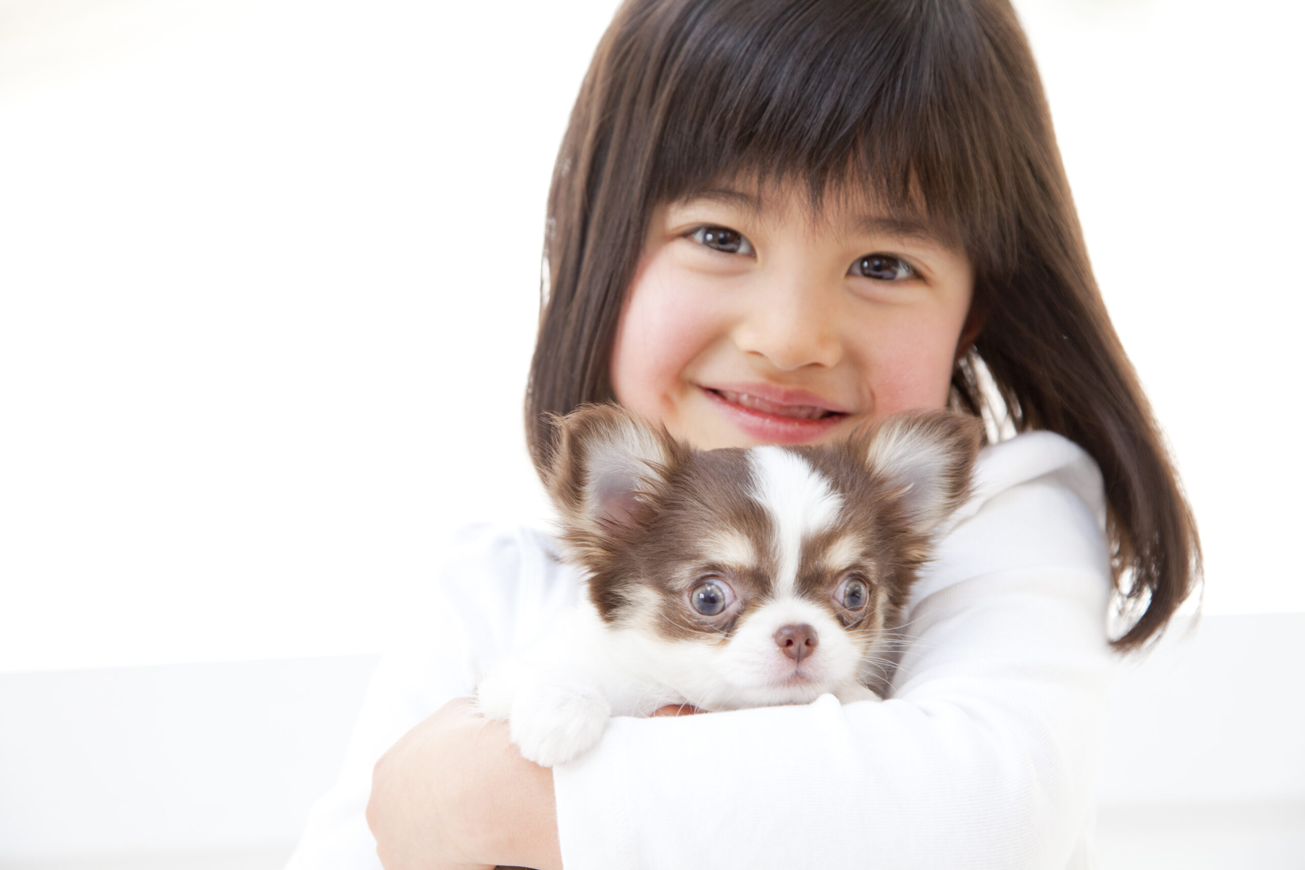 ペットの去勢・避妊手術後に飼い主さんが気を付けること